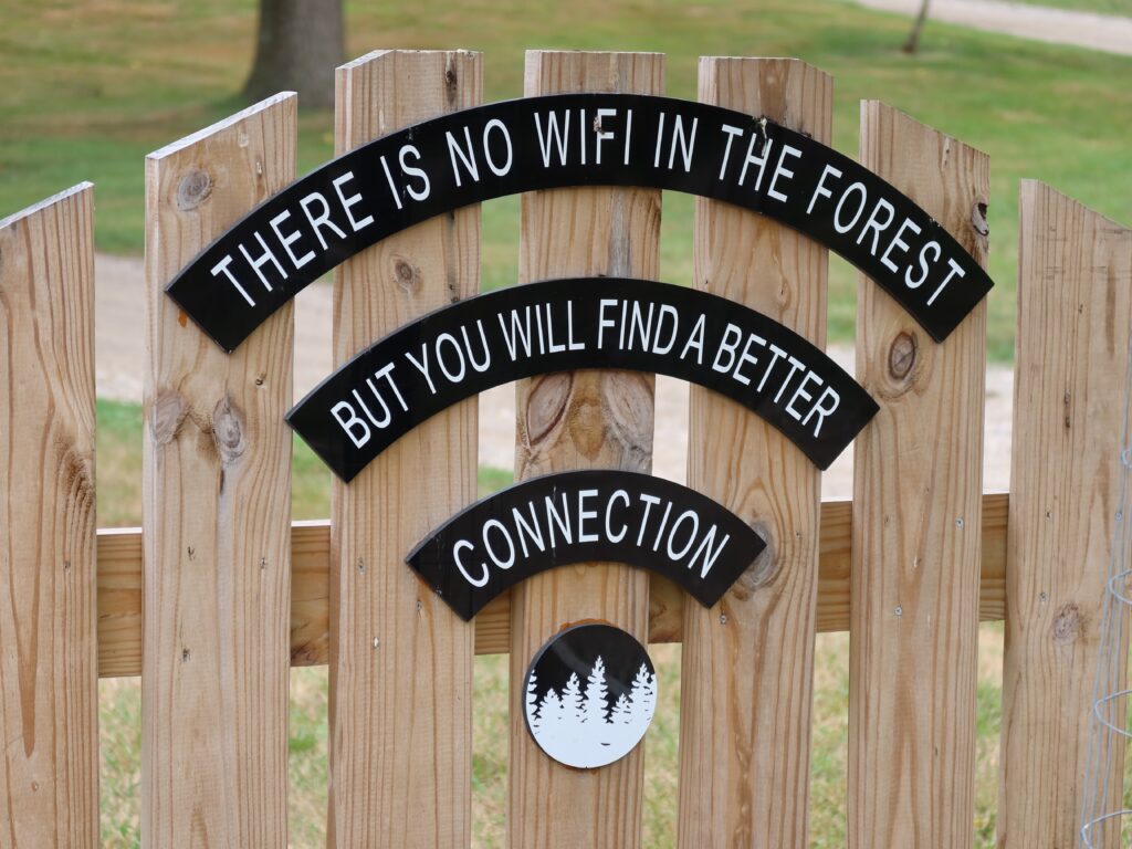 There is no wifi in the forest but you will find a better connection