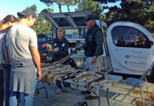 Visitors view an educational display with docents at Point Lobos State Park, CA